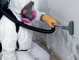 Best Mold Removal for HVAC Installations  in Cattaraugus, NY